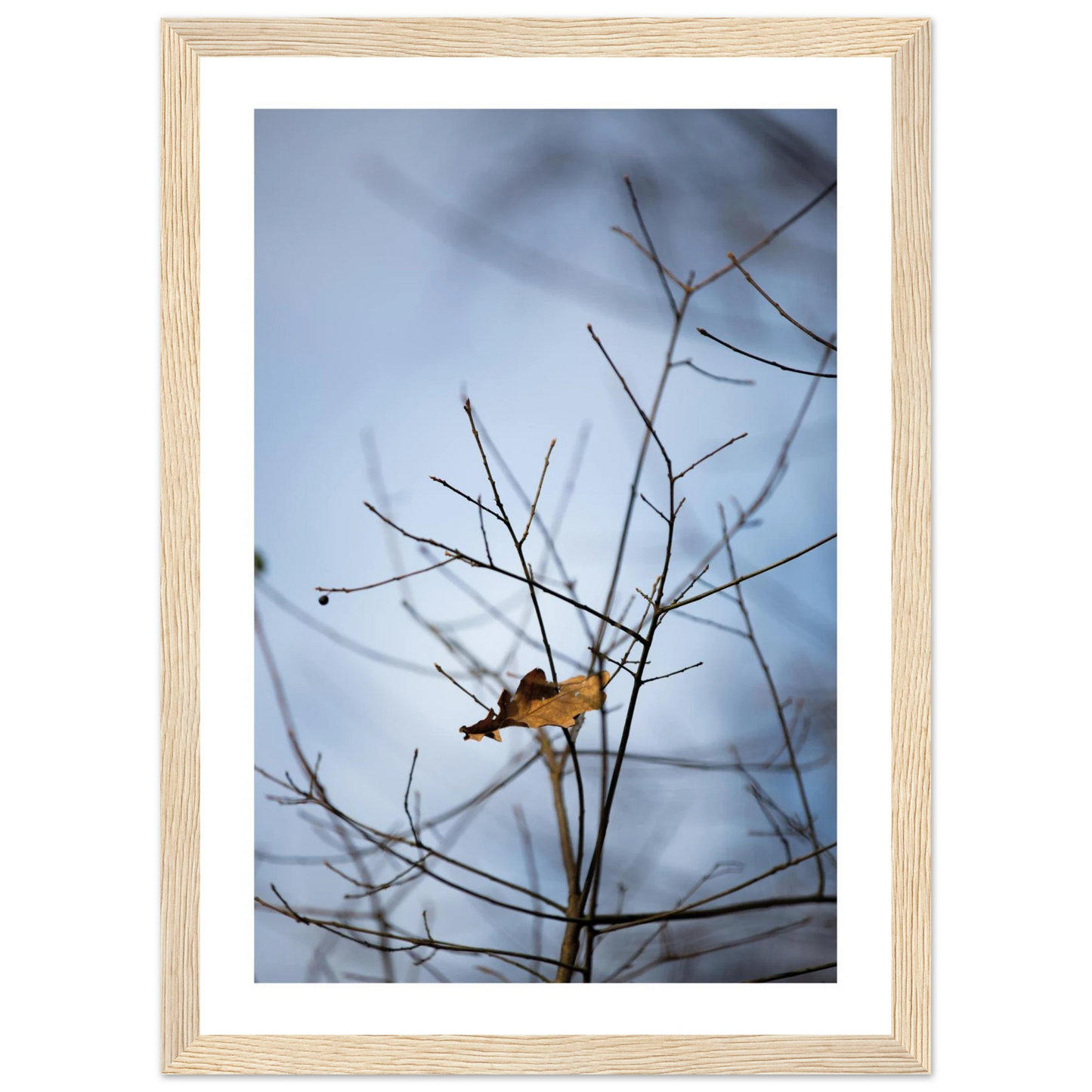 5a8b7bb0-951a-430a-98c6-da61797babaa