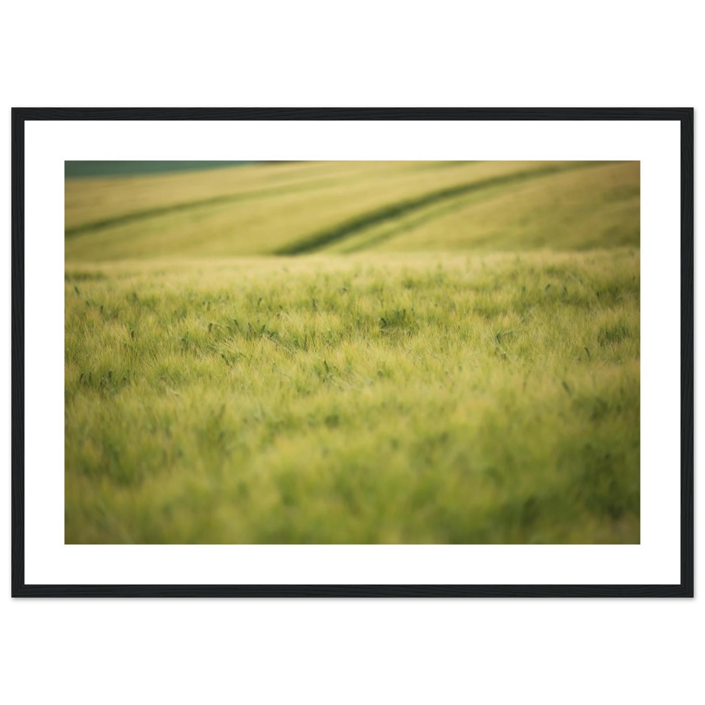 a8e7aae6-7eec-4c9b-8a35-c3b20e0a9f76