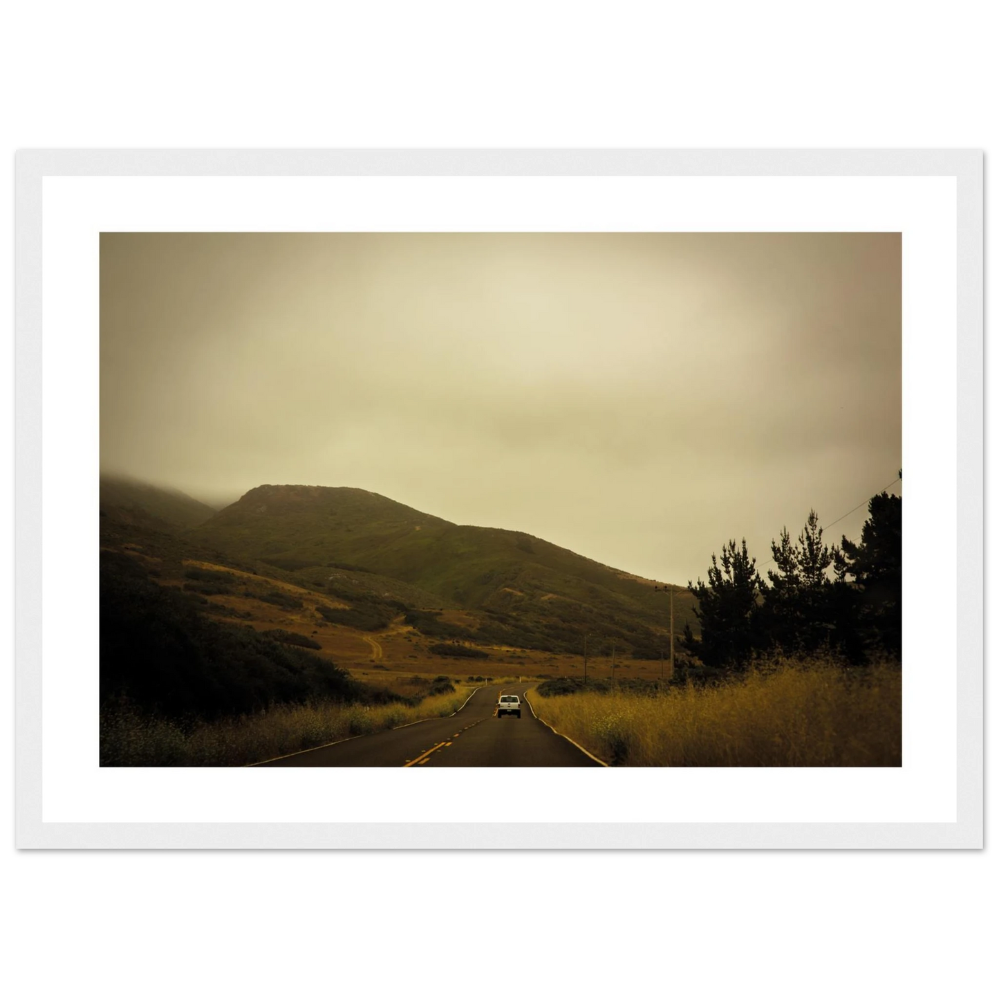 ff88654a-46b2-4f49-8bc9-d90ad23a07a0