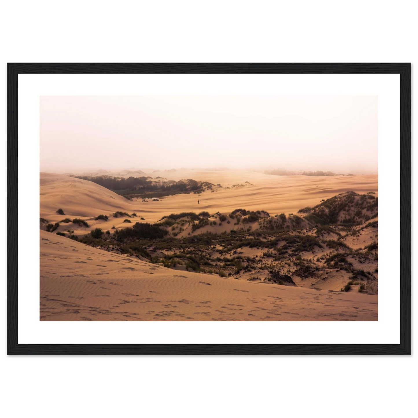 037b66f7-1872-4323-af61-5167e1a39d69