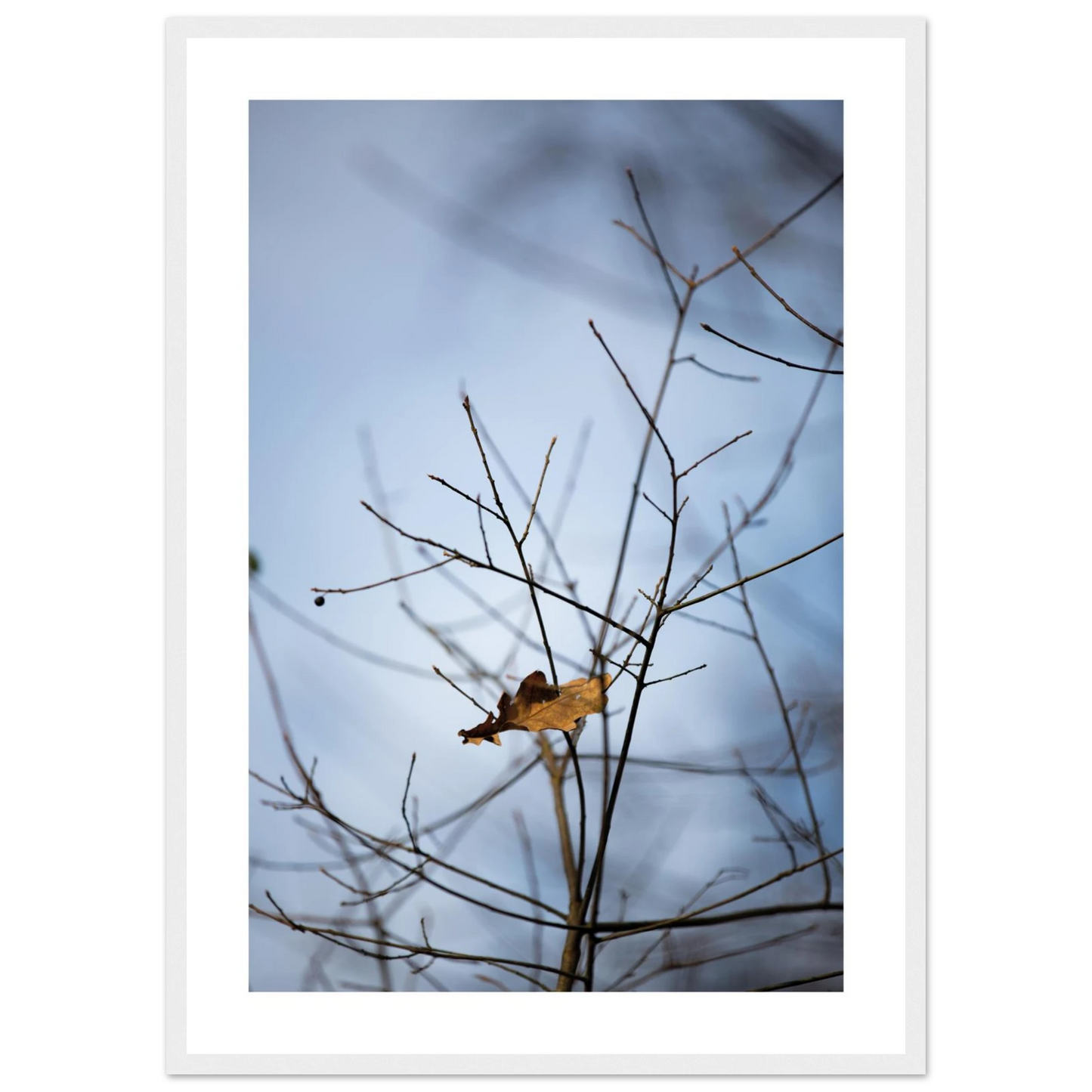 07db570e-061d-4569-9dab-a21bc35080a1