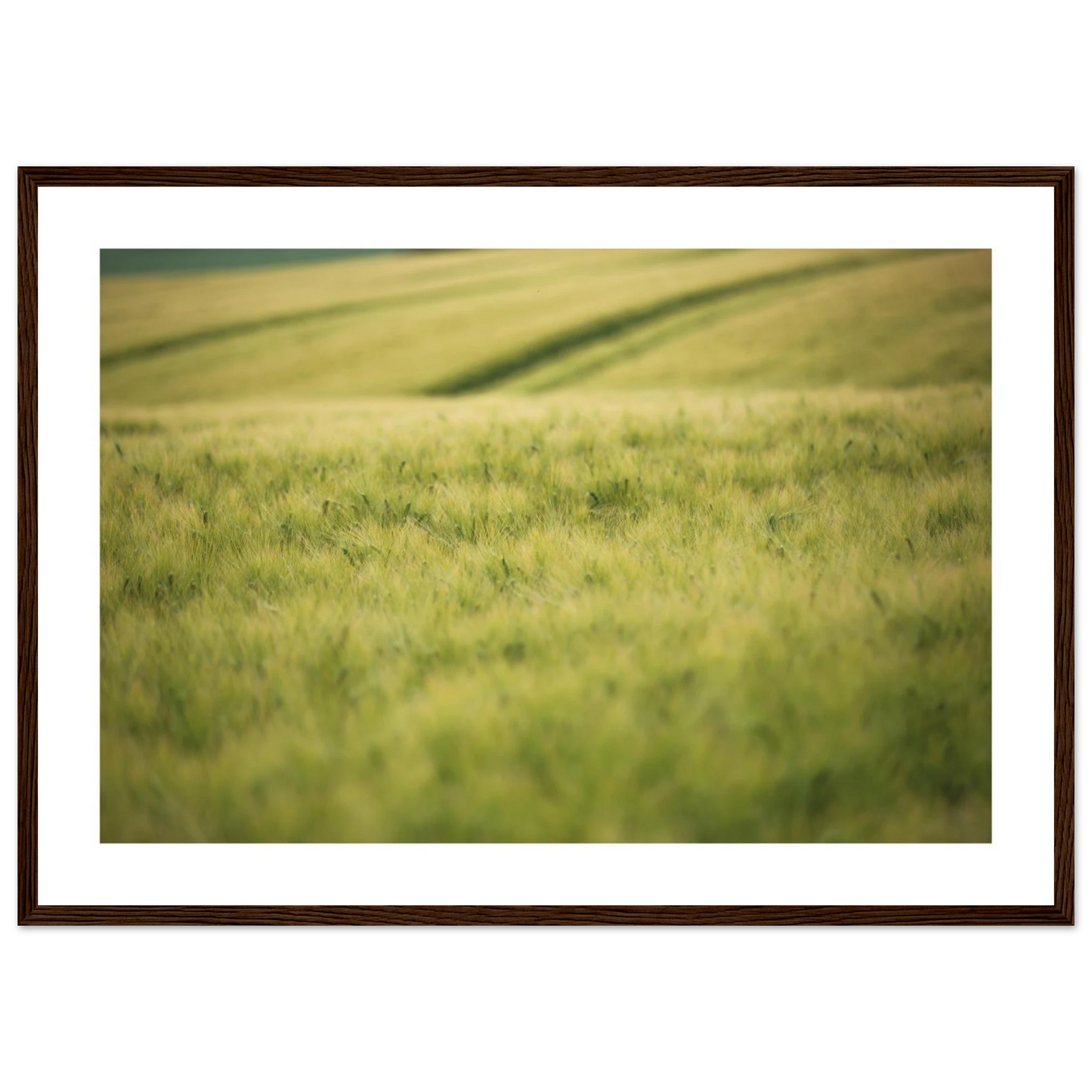 0df5f068-5e68-4403-b0c7-a91ee0b7cb6c