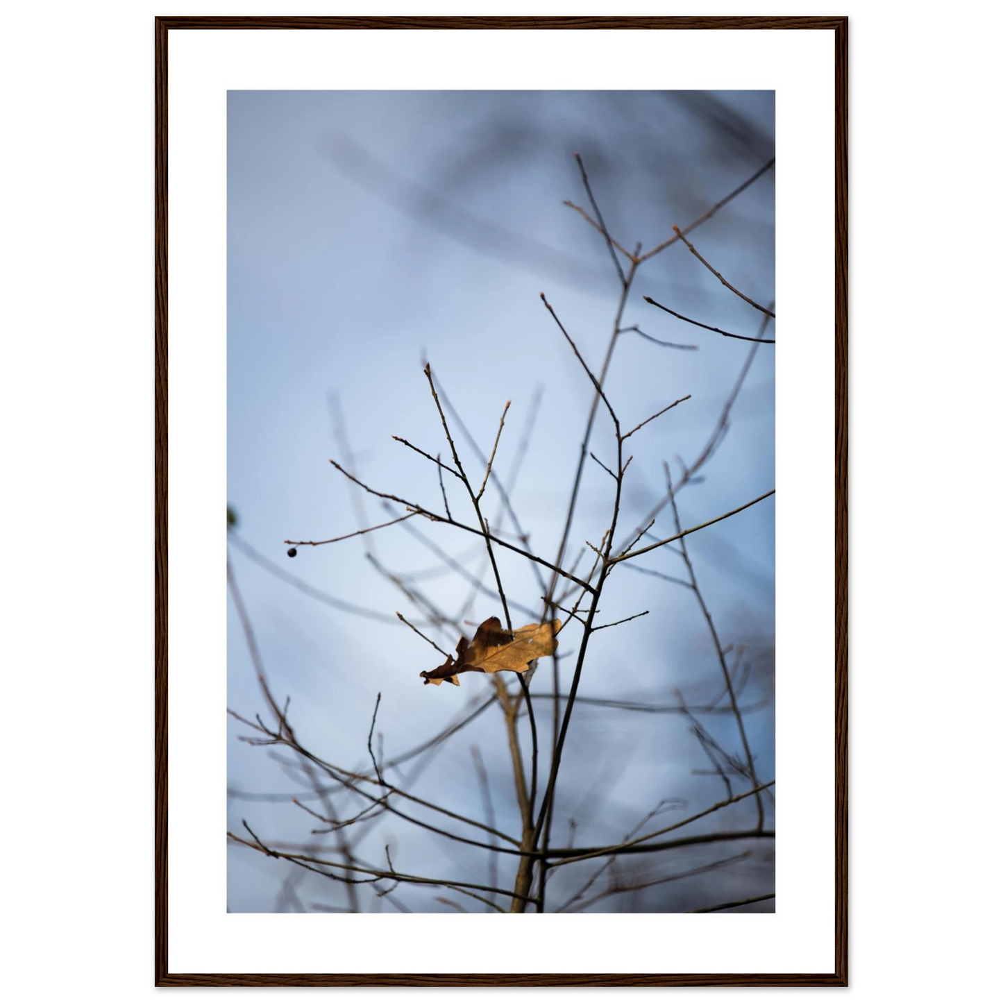 0e7cc9e7-4f84-4d8b-98a7-5597dbbead1b