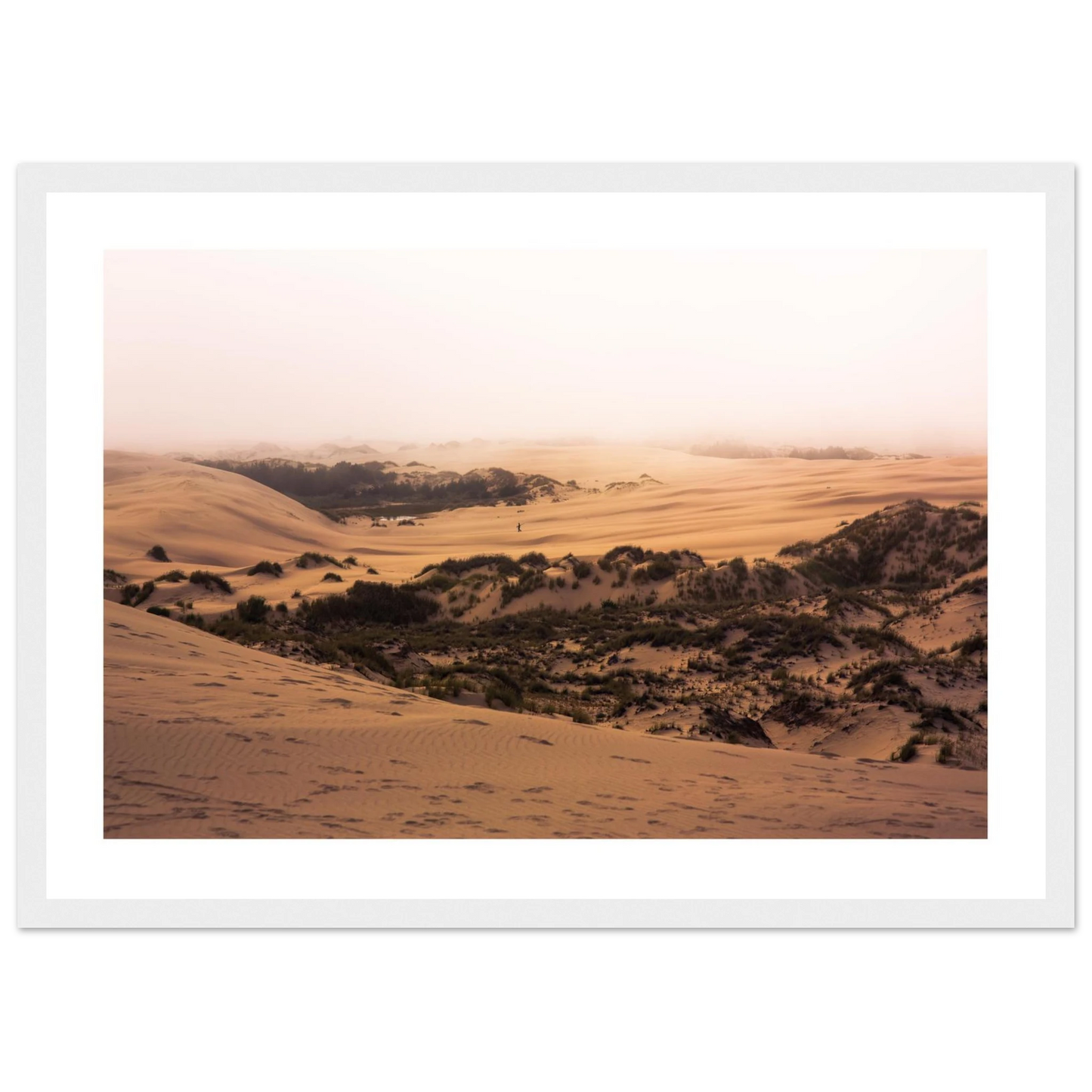 142a72e0-f679-424f-9263-4993c37be736