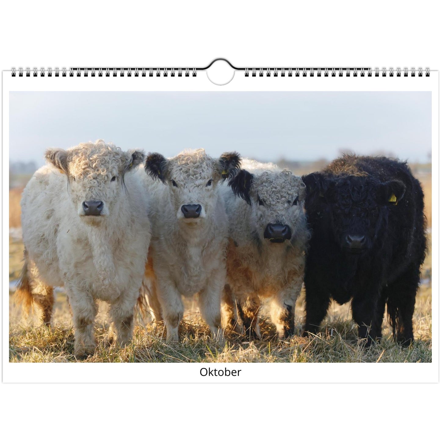 14a485dc-acea-4a8f-9e85-a44b6a3e2596