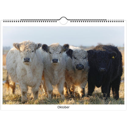 14a485dc-acea-4a8f-9e85-a44b6a3e2596