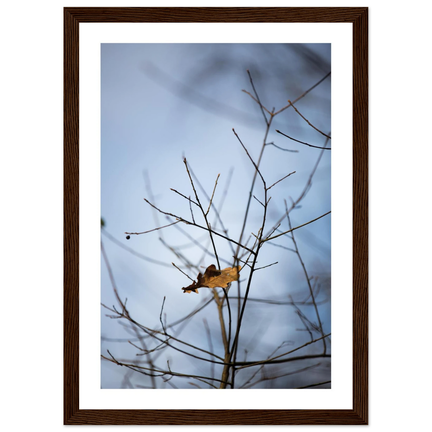 16f006d9-59ba-4231-bd58-783b37f92636