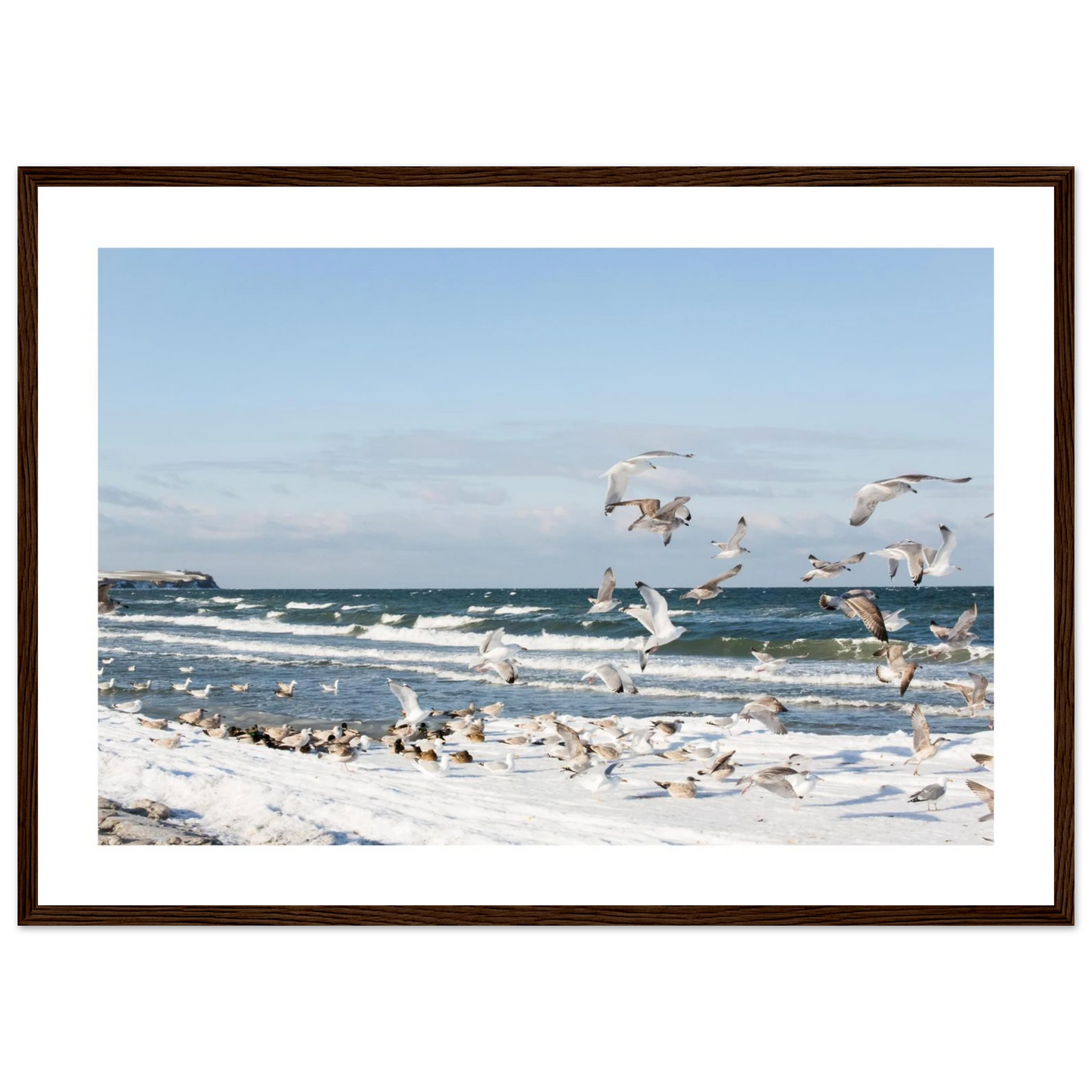 2762fbce-6fbc-4d38-8818-679f398bd01f