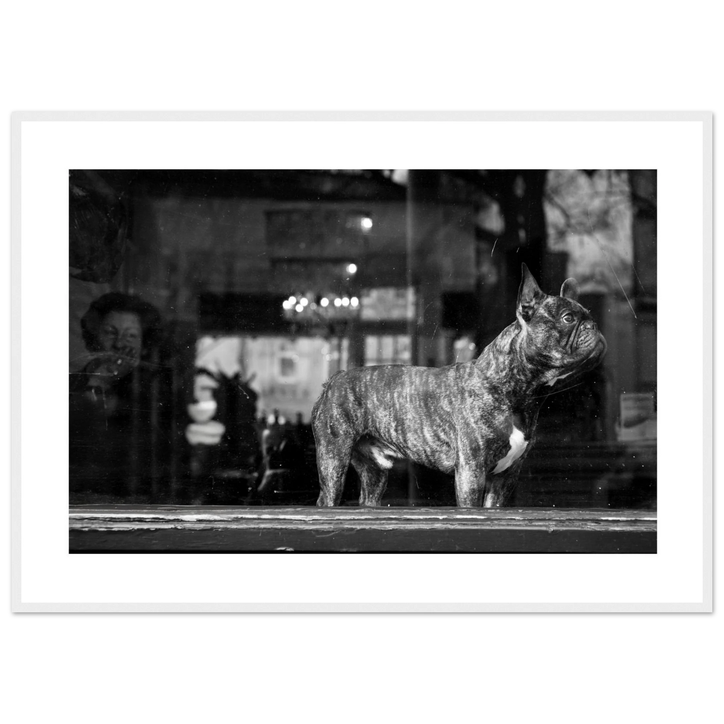 2de4d844-1d48-4b96-acd7-86aef4a33a50