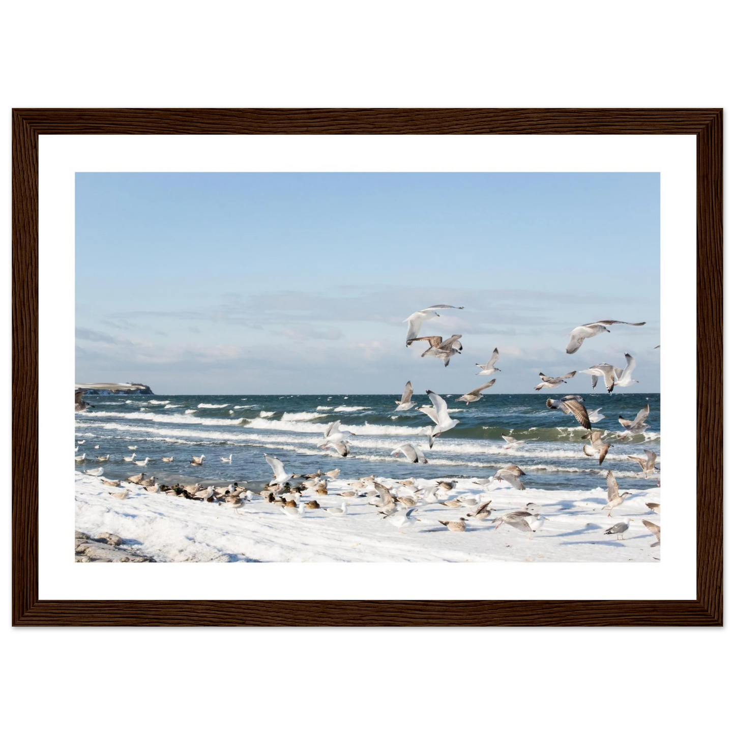 2efdcba3-a008-47ed-a51a-39fd6953501c