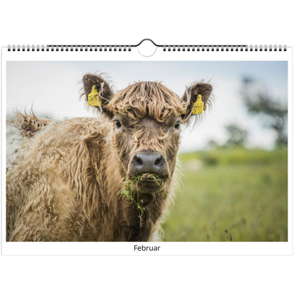 31a4d561-7cad-4fec-a120-ba5ab3a660e9