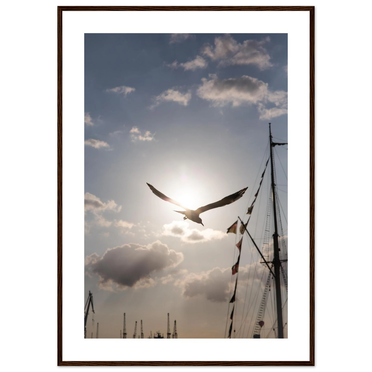 31cc5324-38b6-4369-b248-3de8eb0ba9f8