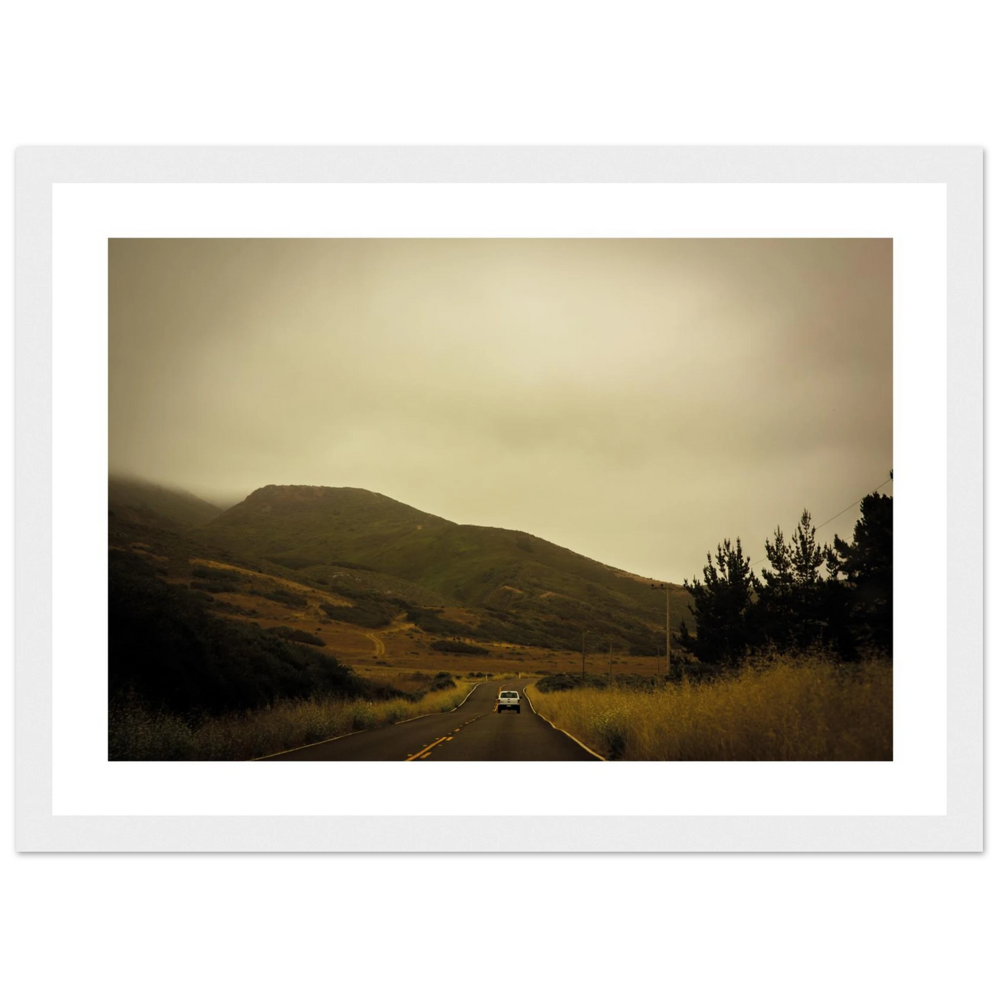 3246424a-371a-4c3c-9044-974bc6a528a9