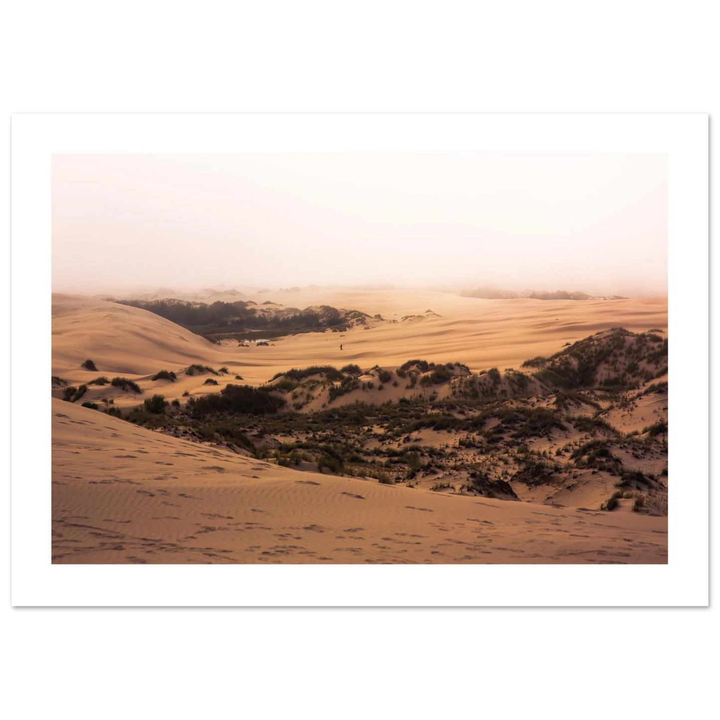 36ea5b1c-1b84-4c84-8de2-f8e552118a36