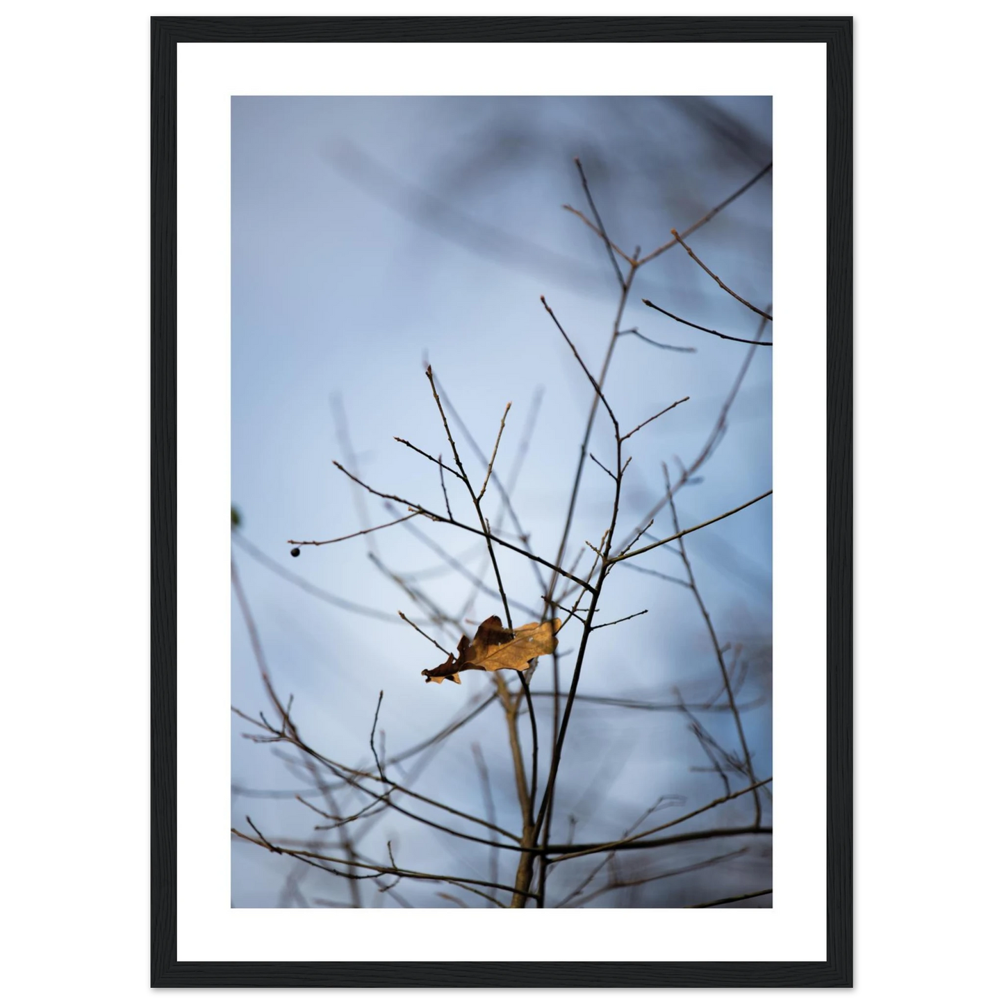 3db6d7c6-5797-4441-aabc-93f5c9e70733