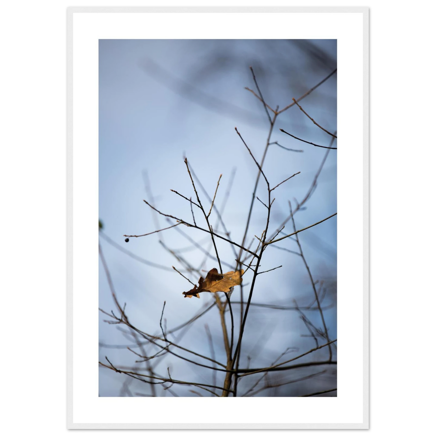 3e78fe8b-0b45-4f7a-a477-feb4b8884fcb