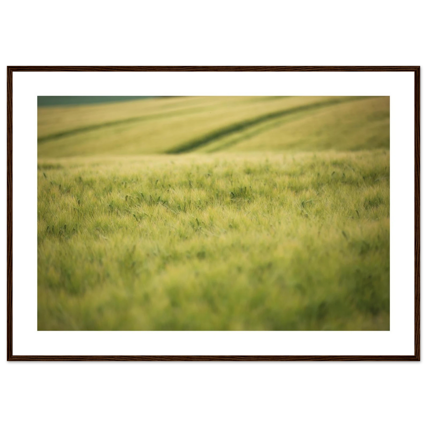 3fb56c6d-eccd-43a0-96a1-19a0a99aeb86