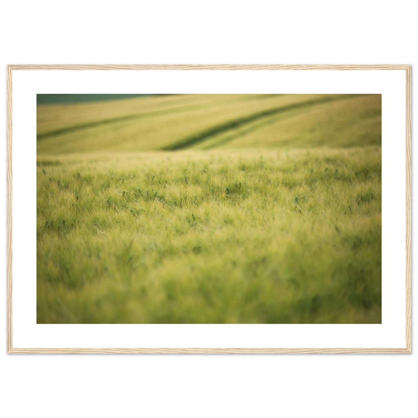 3fc5170f-b90f-424c-83d4-e9aae08ec9d1