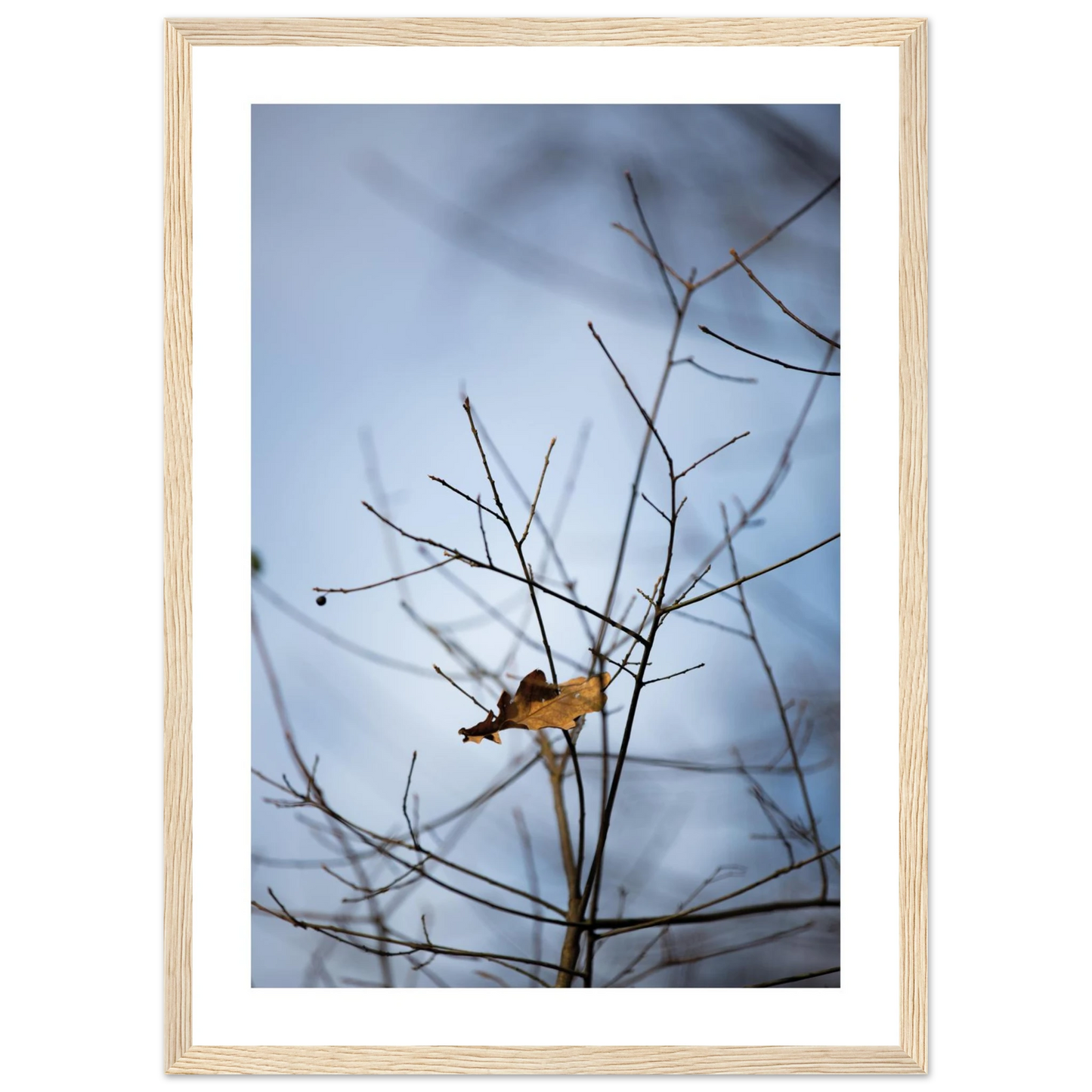 403d5270-a436-41f9-91d8-aa4f5845c146