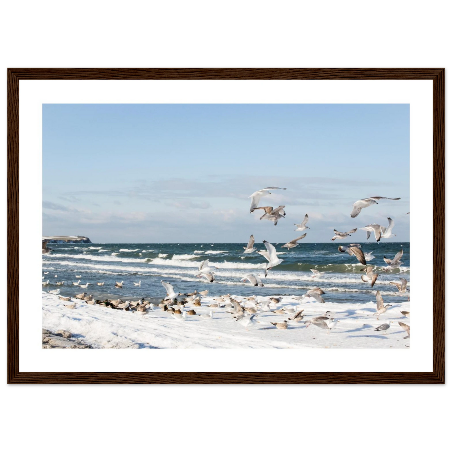 4333b1bf-5477-4cfb-beeb-bd223ad5f812