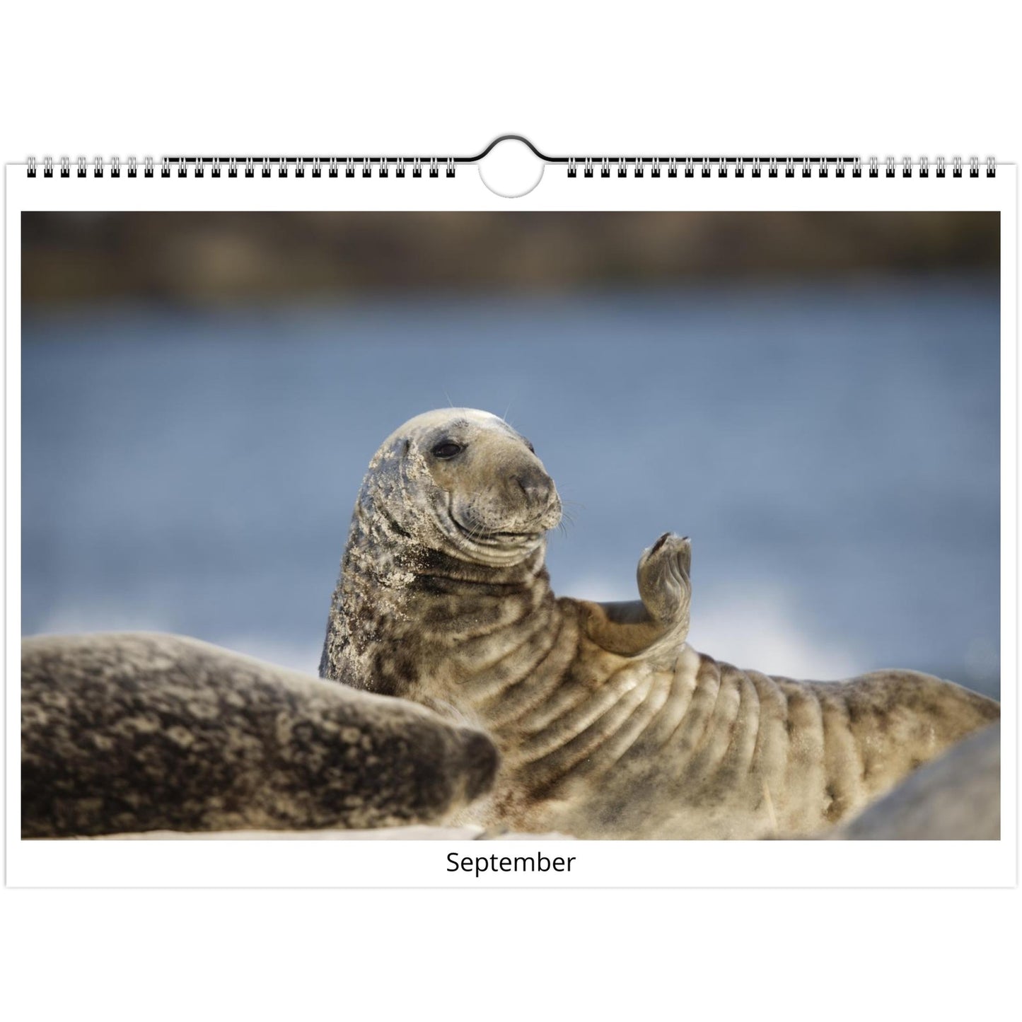 438573c5-3d88-40d5-9886-1ebc4e95c307