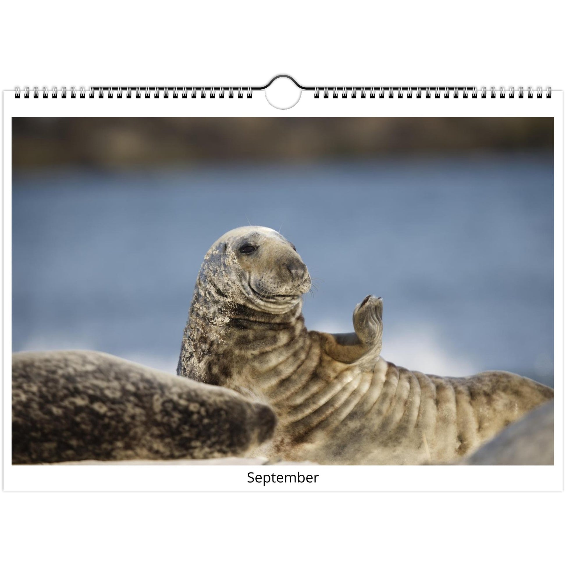 438573c5-3d88-40d5-9886-1ebc4e95c307