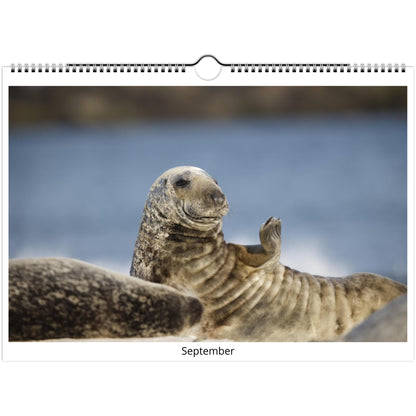 438573c5-3d88-40d5-9886-1ebc4e95c307