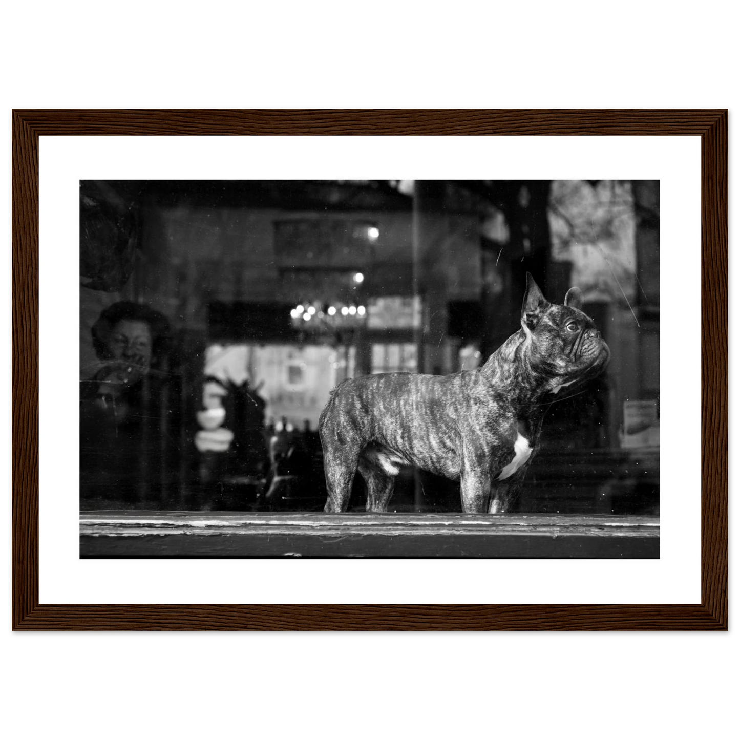 44a683e4-eb29-4c6c-a85d-68a3b978c288