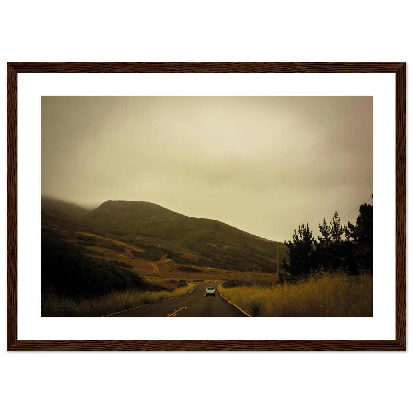 48bd2570-6dde-49f4-b926-8901e8136da3