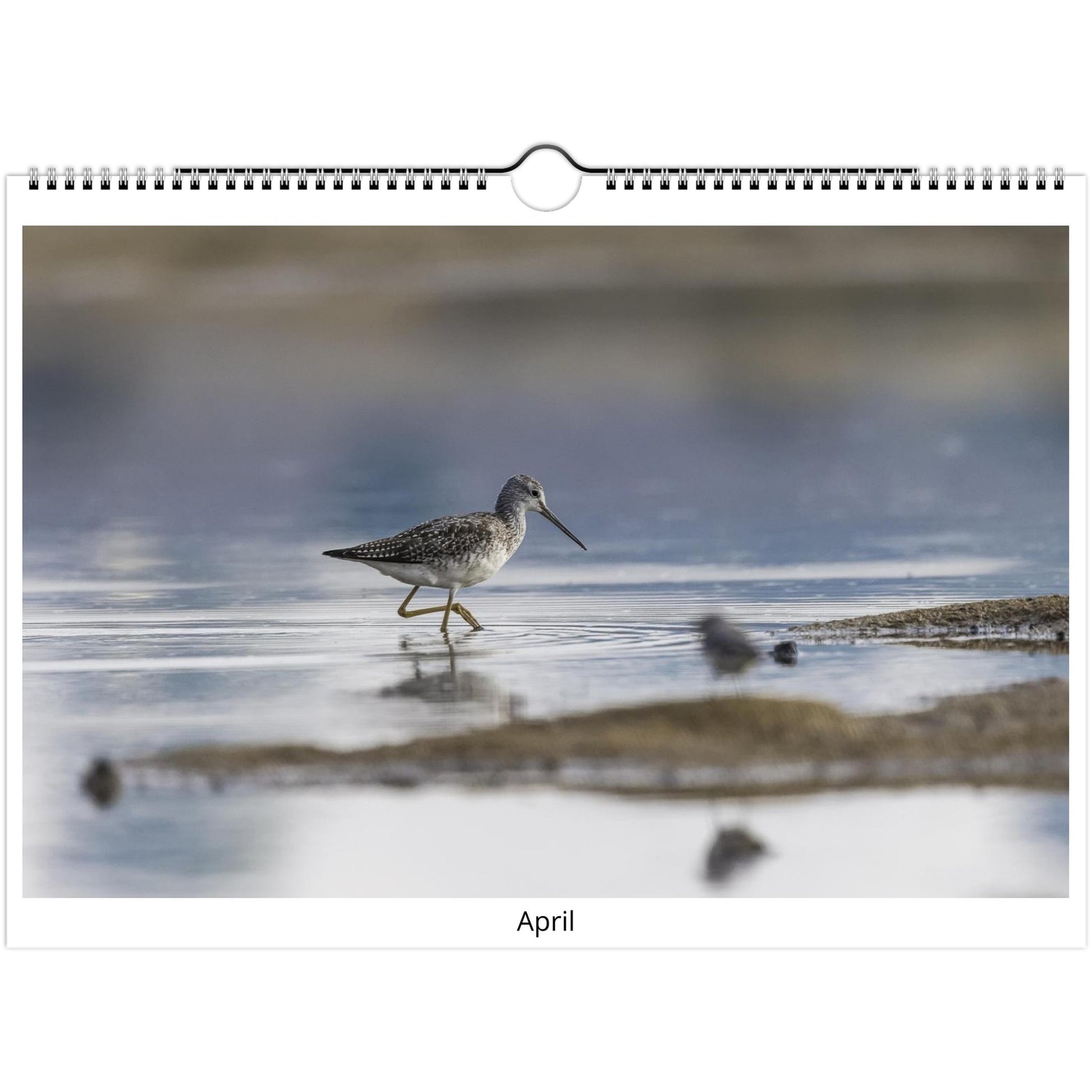 4af00da6-71ac-4242-a33d-9dd42e8d78be