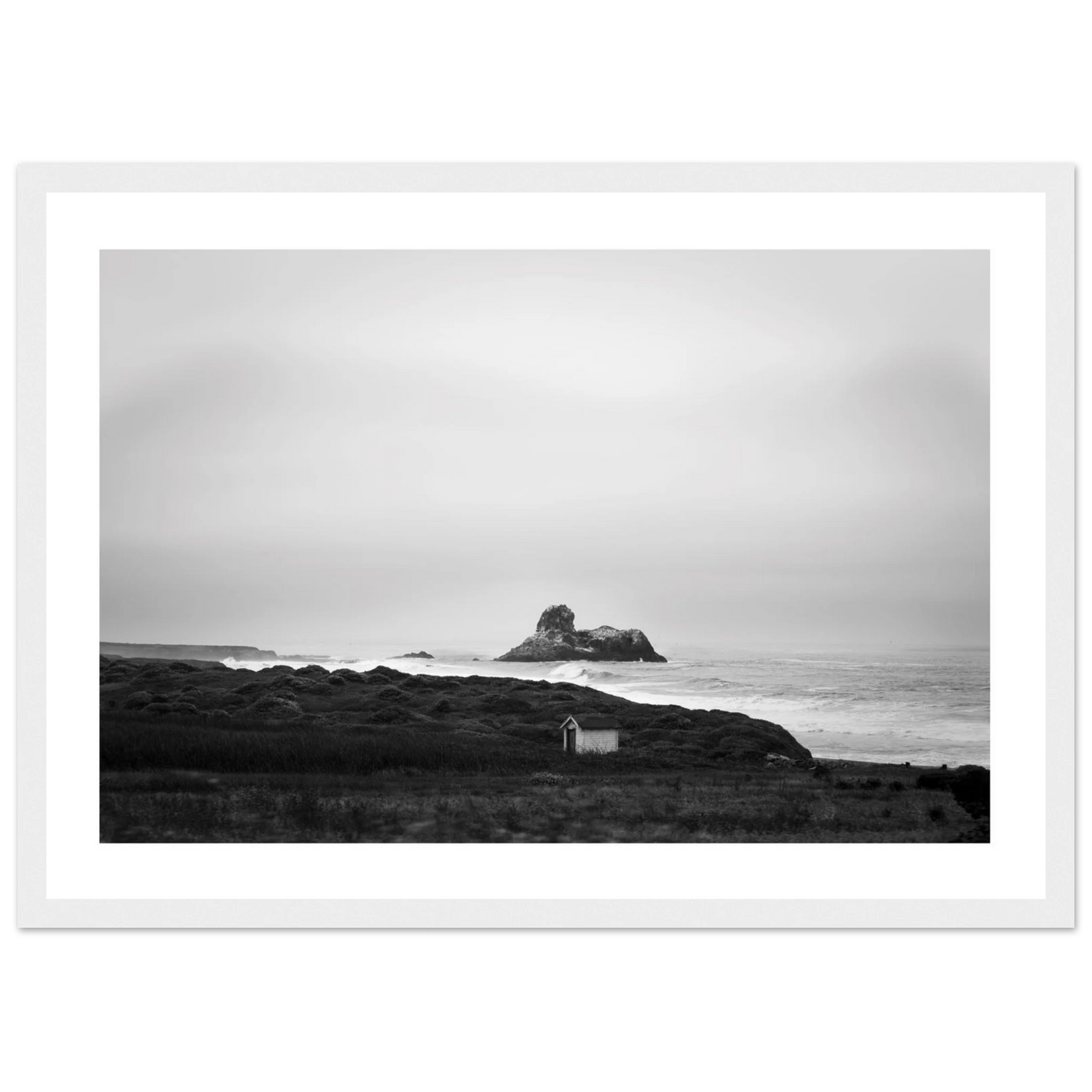 51c809b5-7bd8-4a49-9910-9e7dddbeab31