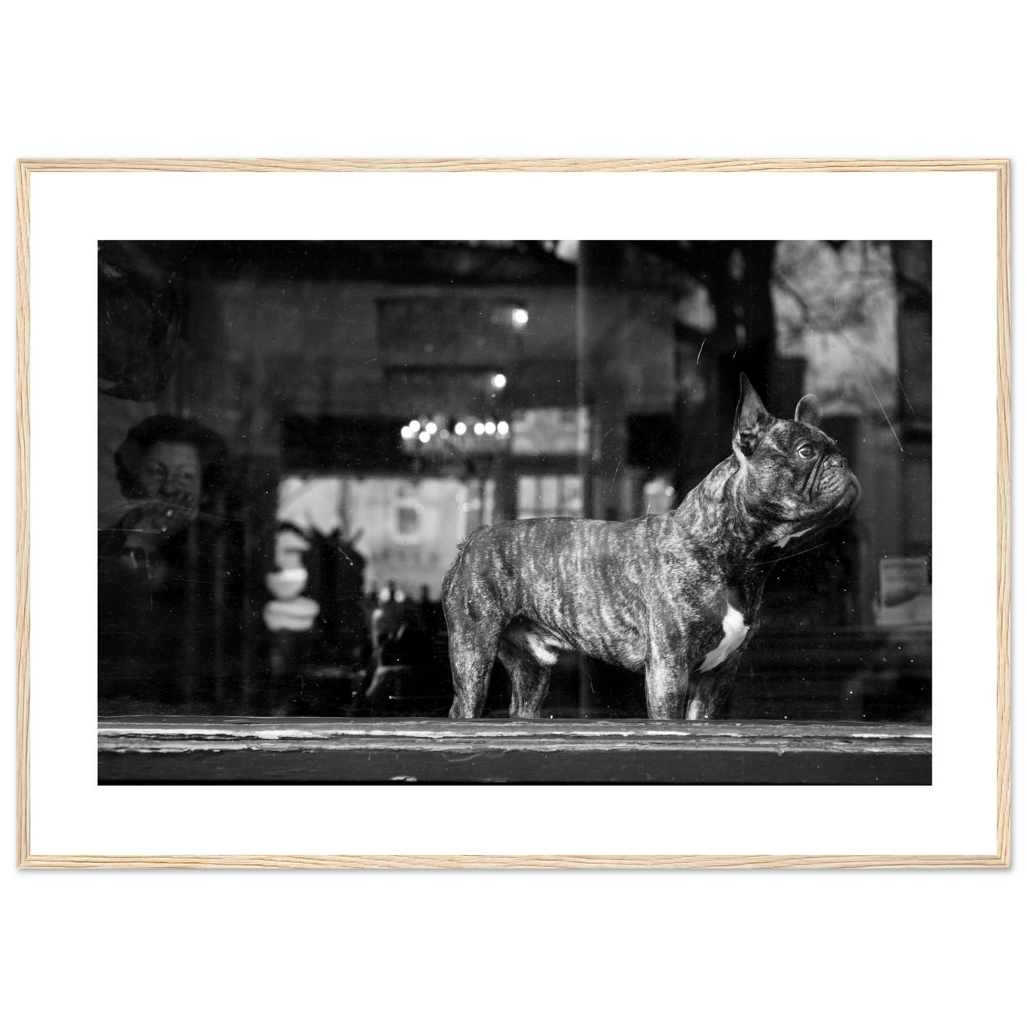 5a333188-cafb-4e81-9bb7-254d9f3bbf9c