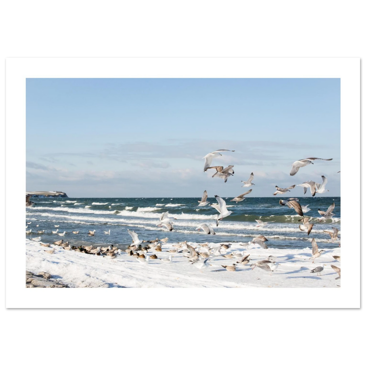 5e39e01e-8901-46ed-8800-48d2dbde6233