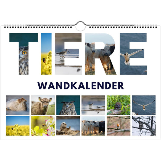 60f83d5d-0531-4a92-b9a6-5ce4d4c299ed