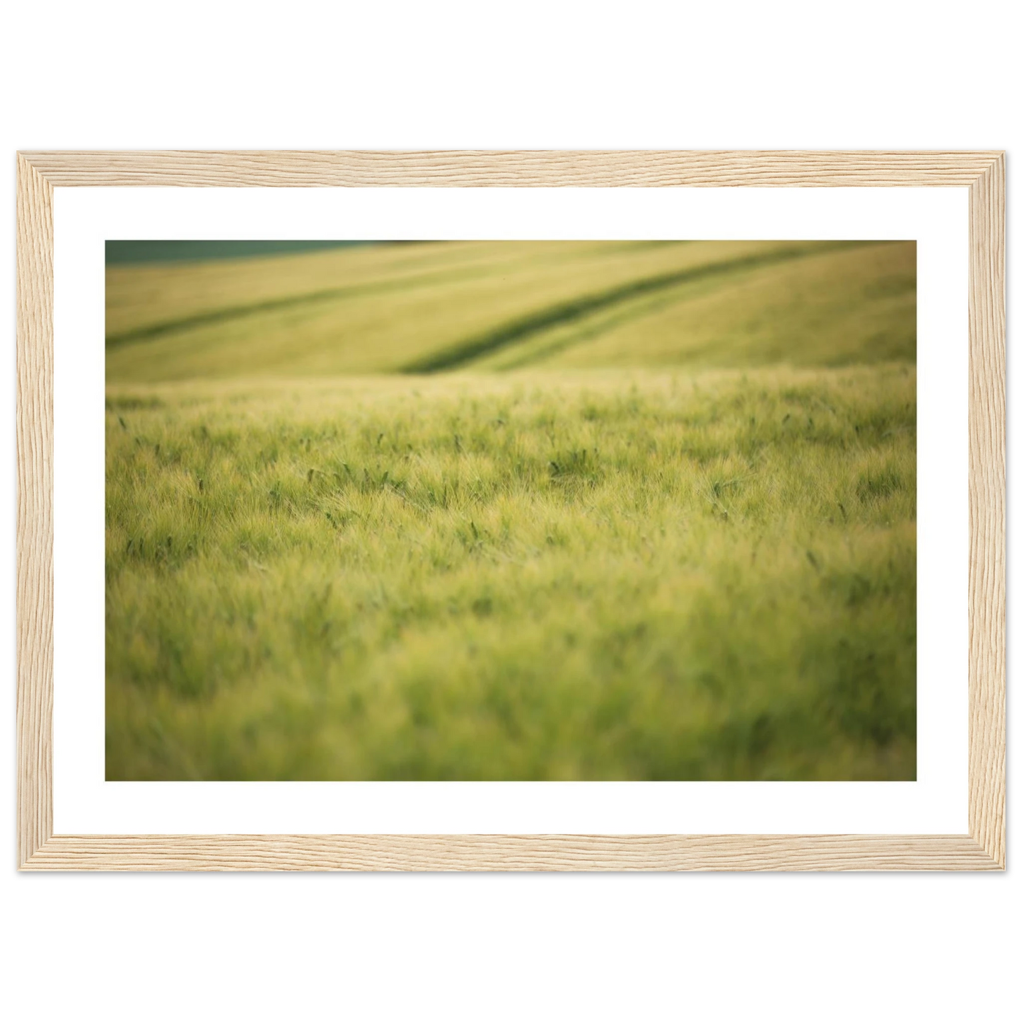 6419df29-c692-470f-b907-4f965d0780d3