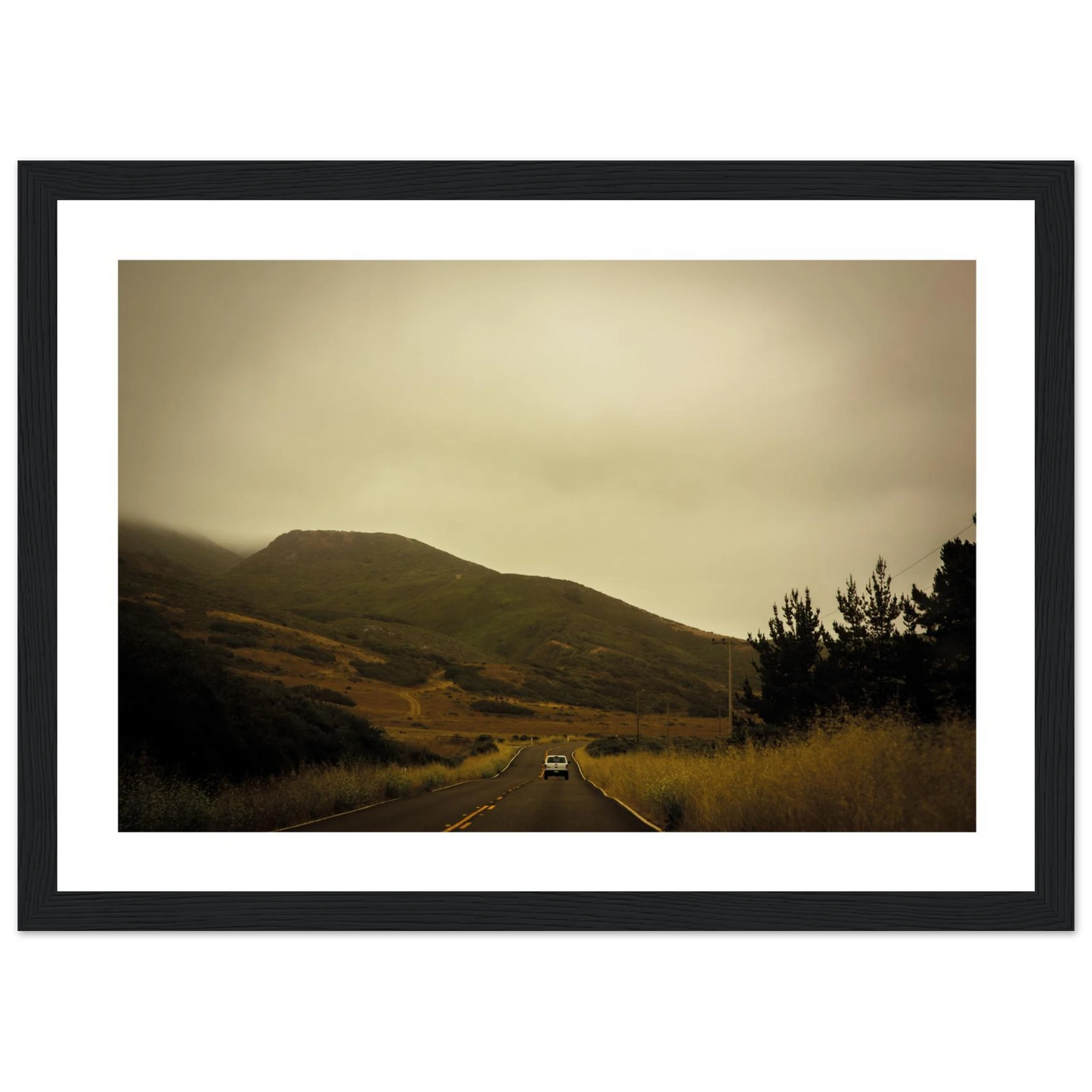 66d92f05-c84c-44b4-b08a-c47cca8335f5