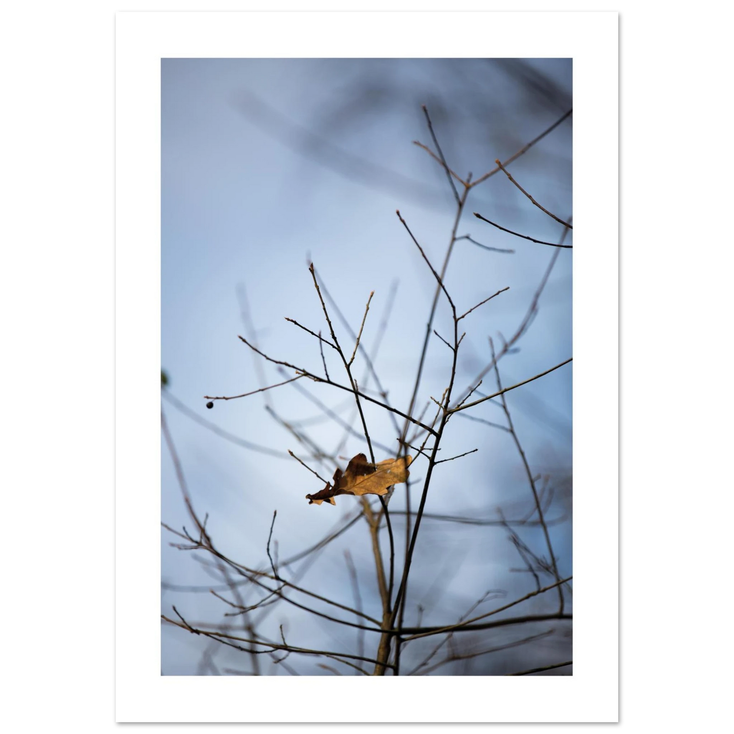 67d0b4d3-1dc2-4fe8-85cb-d25d05dc9291