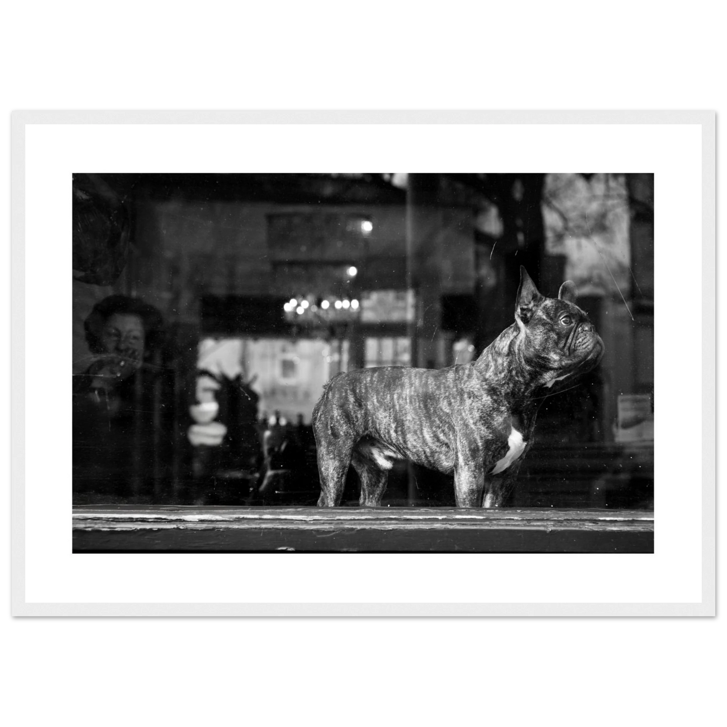 6a15c1f9-83f4-4550-986a-a9866f4d0485