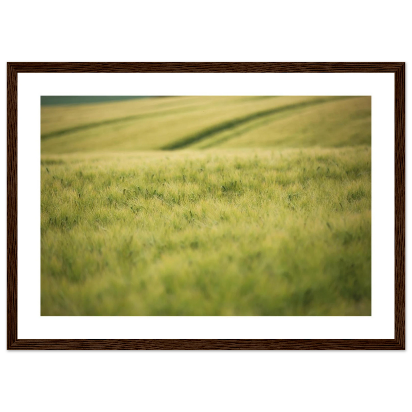 6c24f0ed-2519-445c-a28a-16a85cf218bc