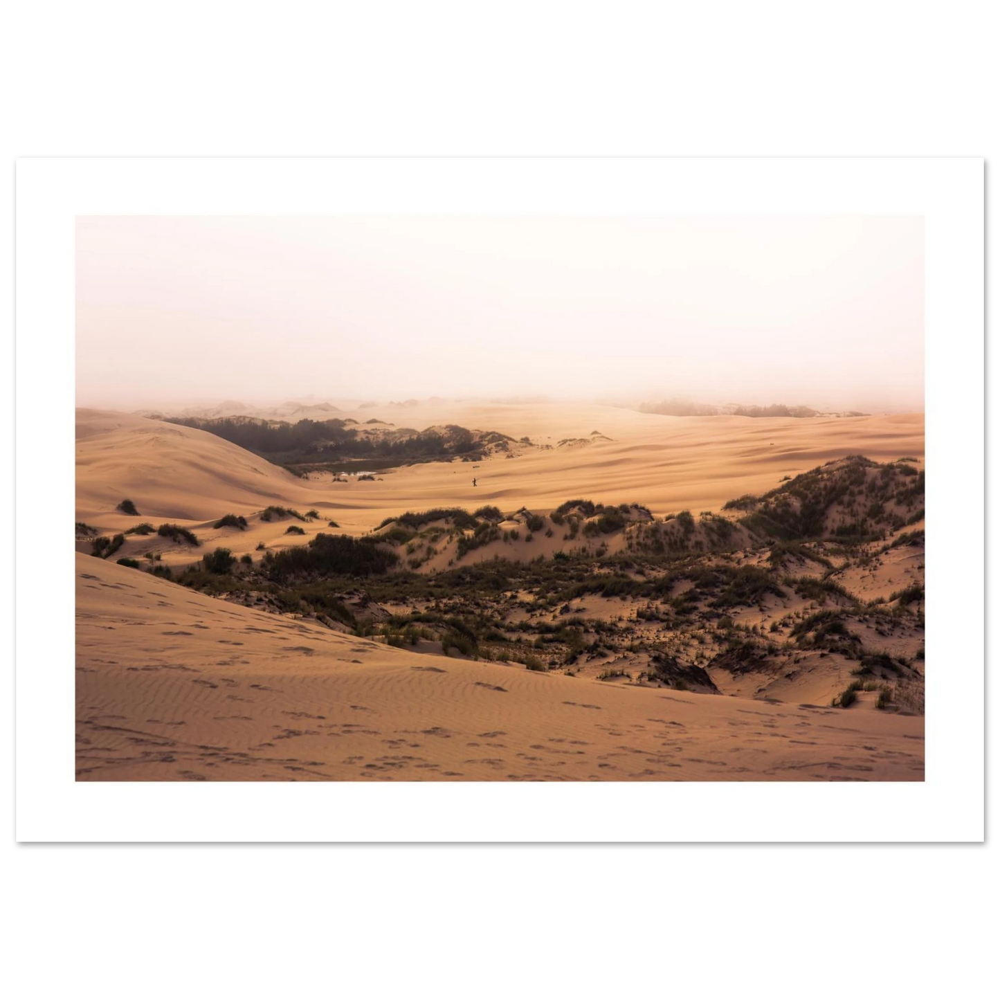 6e9932b1-9287-4e9a-921d-d82075e53245