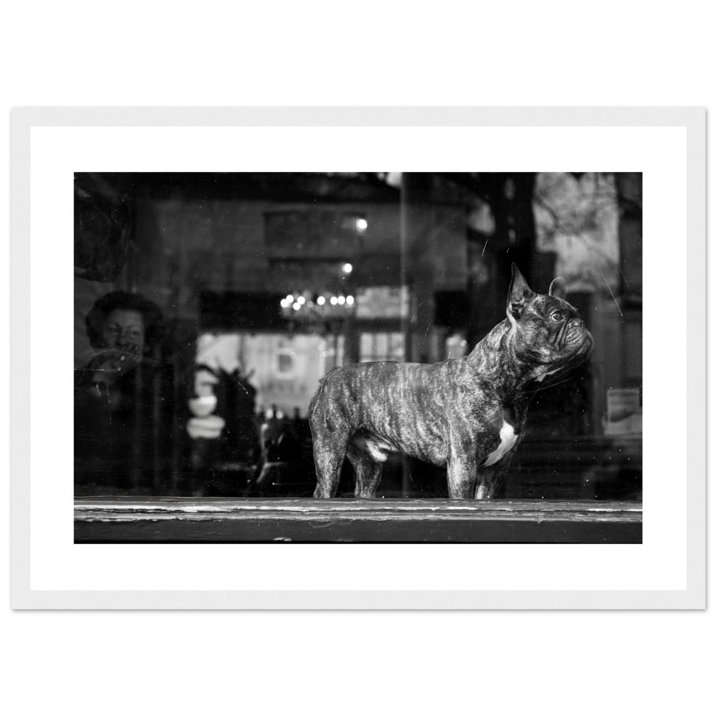 72a2aced-c52d-46cd-be87-a6fb46876c96