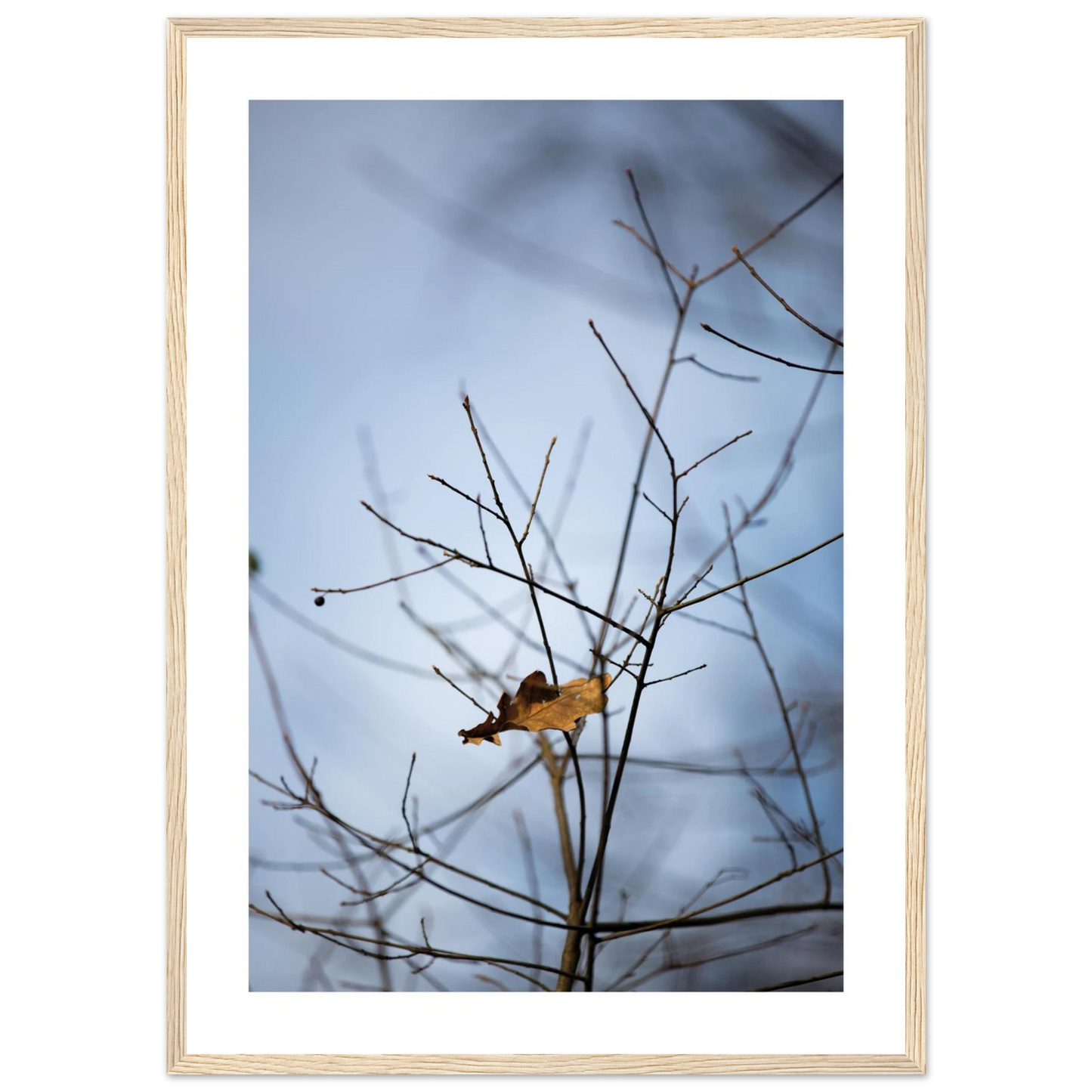 76388b7b-0f70-4fe8-a297-04c39eb60cca