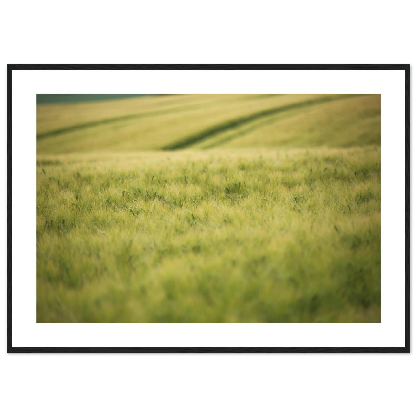 7bfbce39-887b-49f8-9372-dc864ff26327