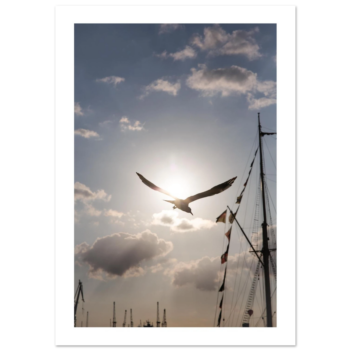 7dd157b8-e5b6-41aa-acb8-49579bd2dca5