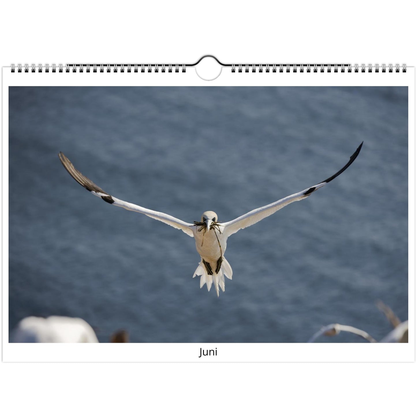 7e91f9c1-6277-4617-b26b-7962beae9796