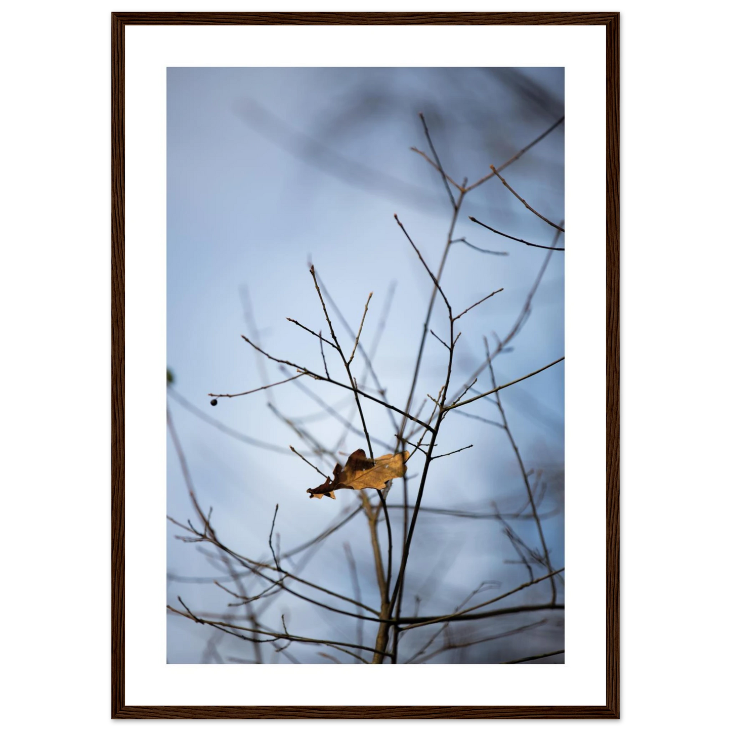 7f7cfe6a-a846-49bd-bcb0-fcf772d8a854