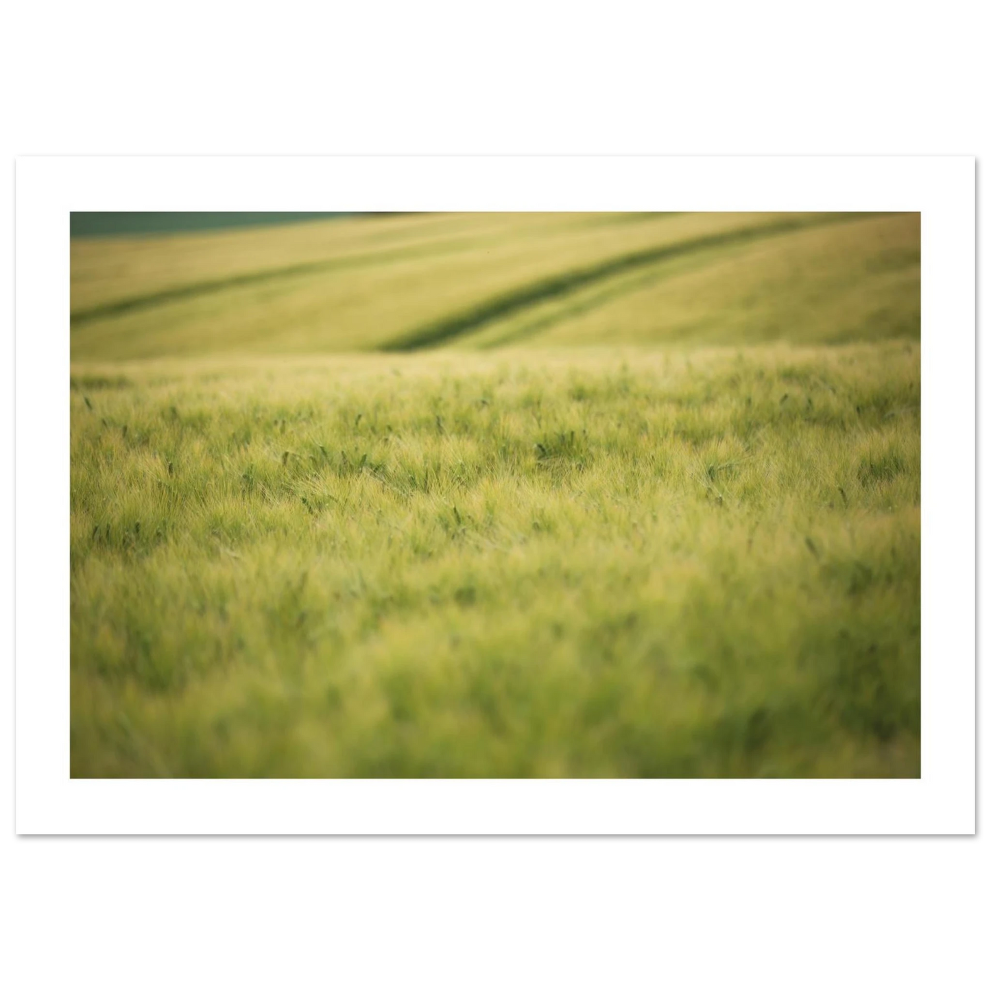 7f939ef8-79ac-4ac8-92e3-3c4f3c49d2bf