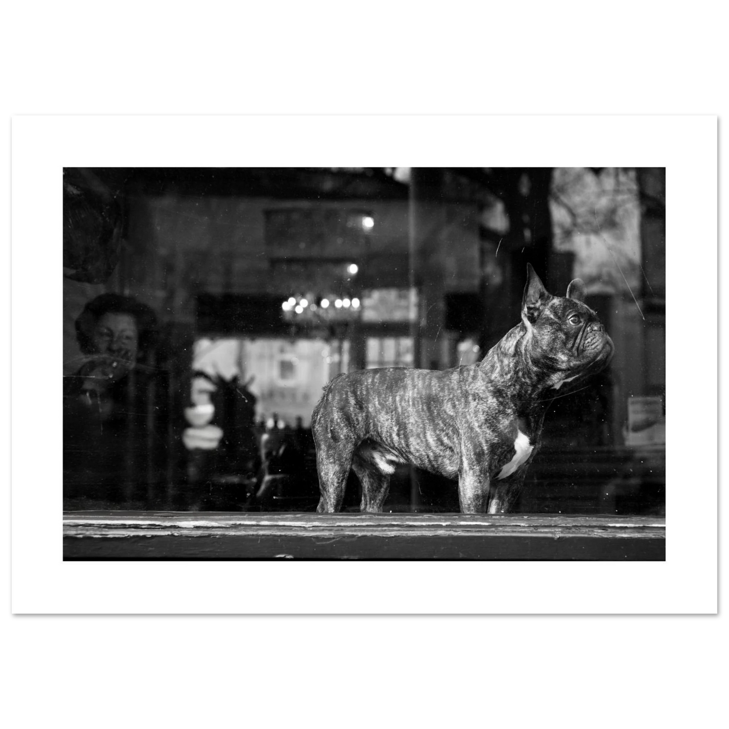 8095c86b-711c-4295-908f-30ec1440e6fa