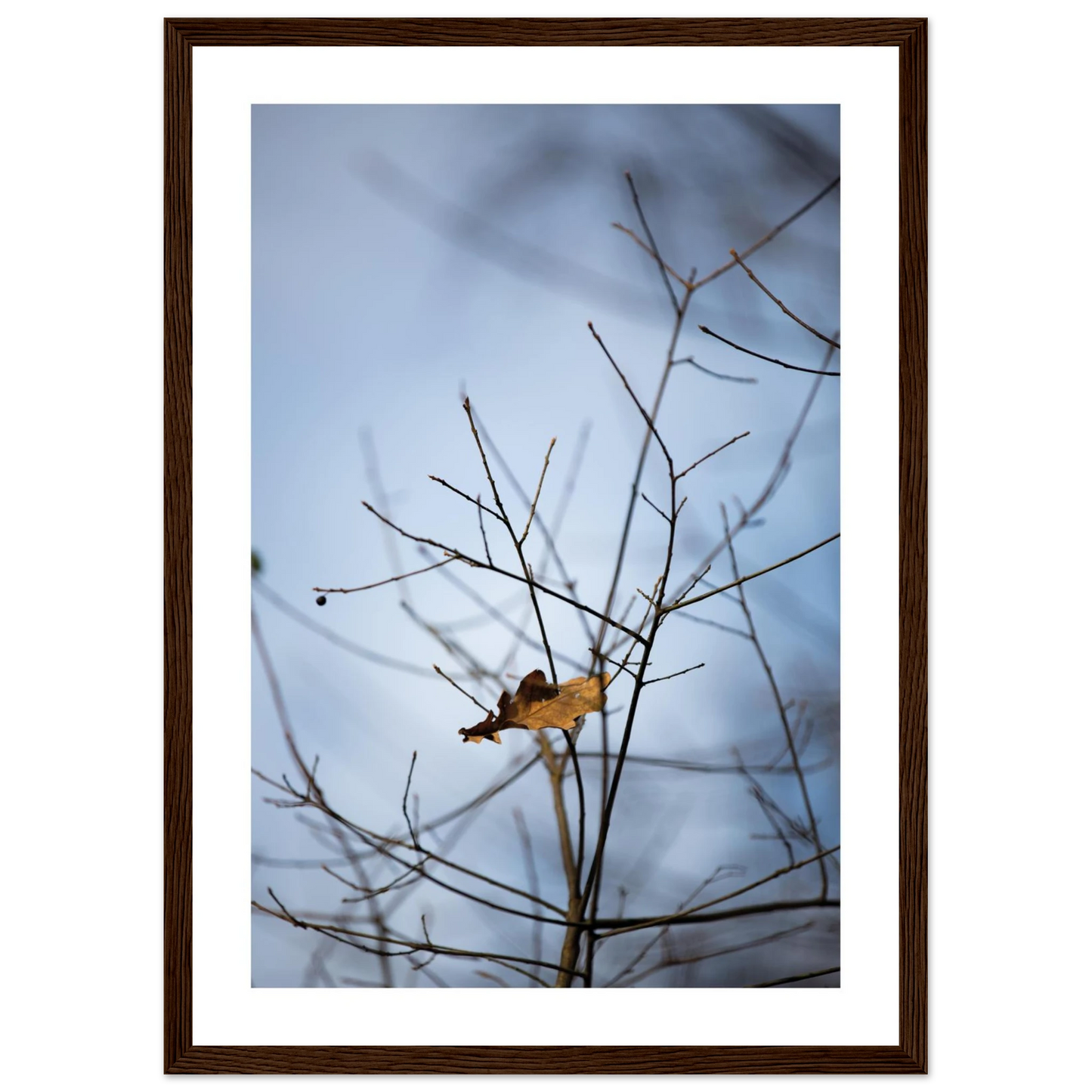 8526973f-5ab5-45b5-a4a6-8a4bebfefdb1