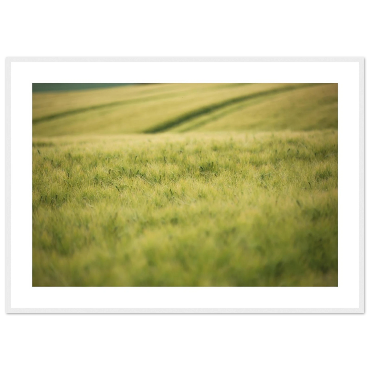 85f19626-3926-4174-9cf0-08ee22928852